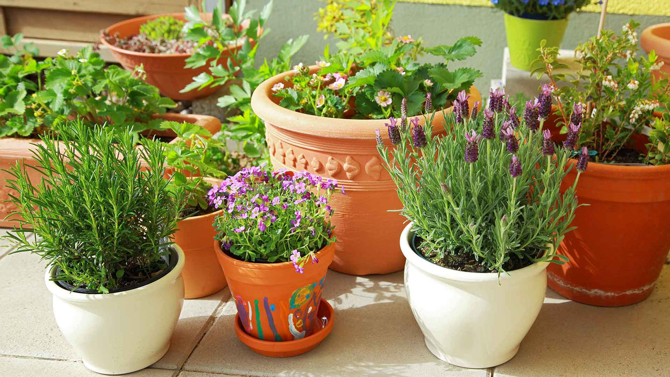 Adunnis Garden Pots & Planters